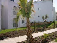 /album/galeria-de-fotos/o-pomar-site-001-jpg/